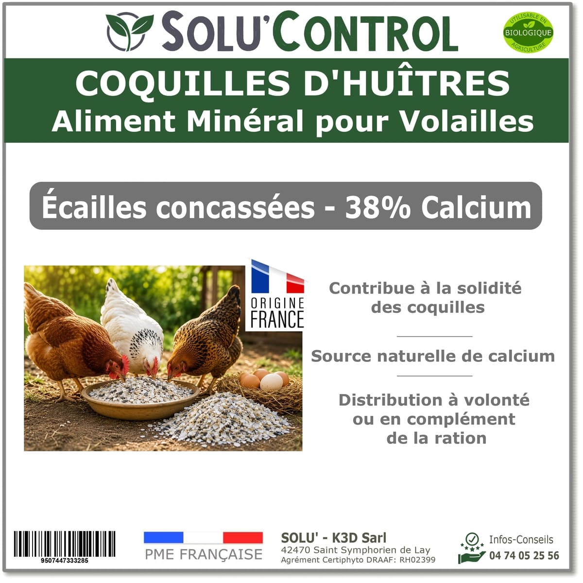 Écailles de Coquilles d
